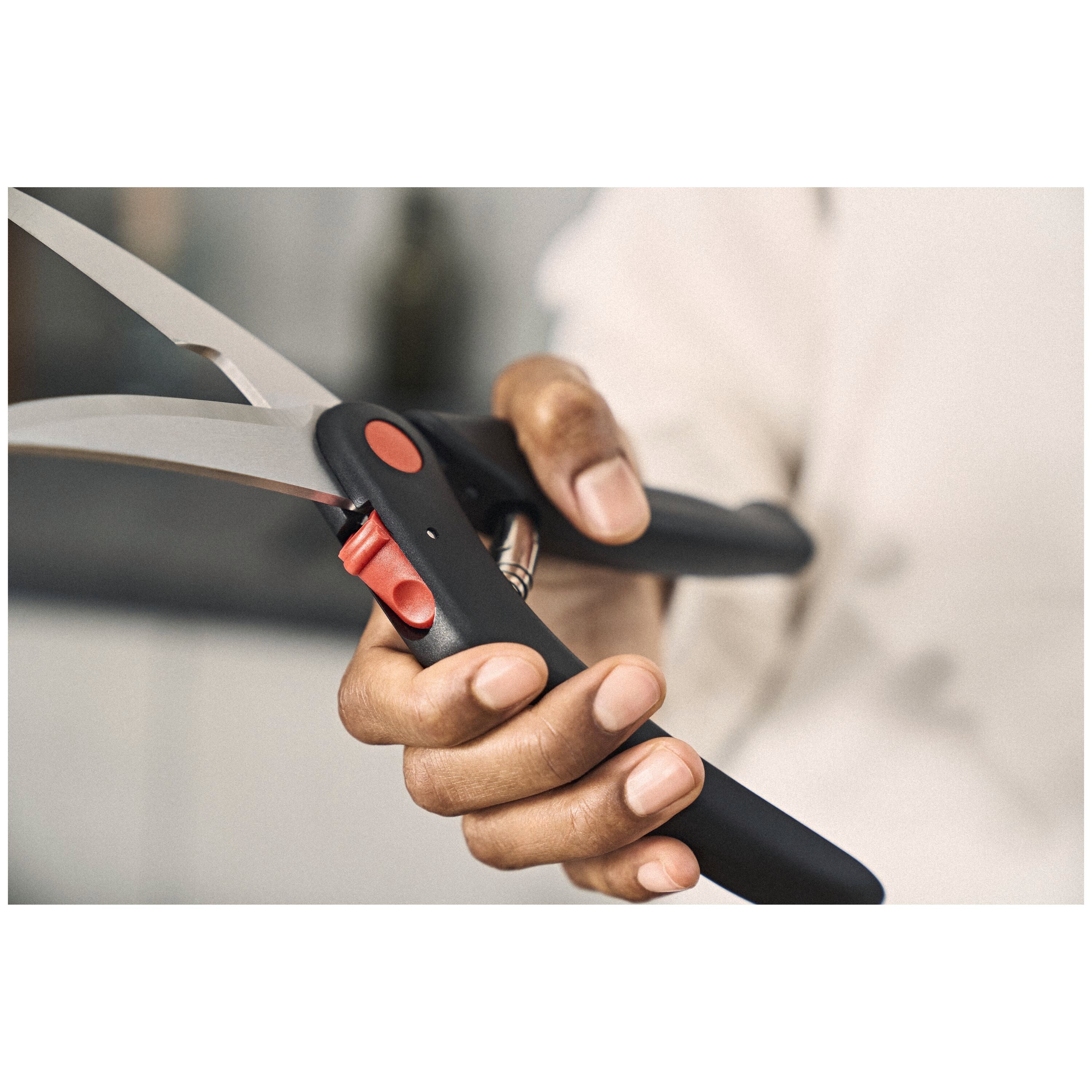 ZWILLING Tijeras para Aves image 4