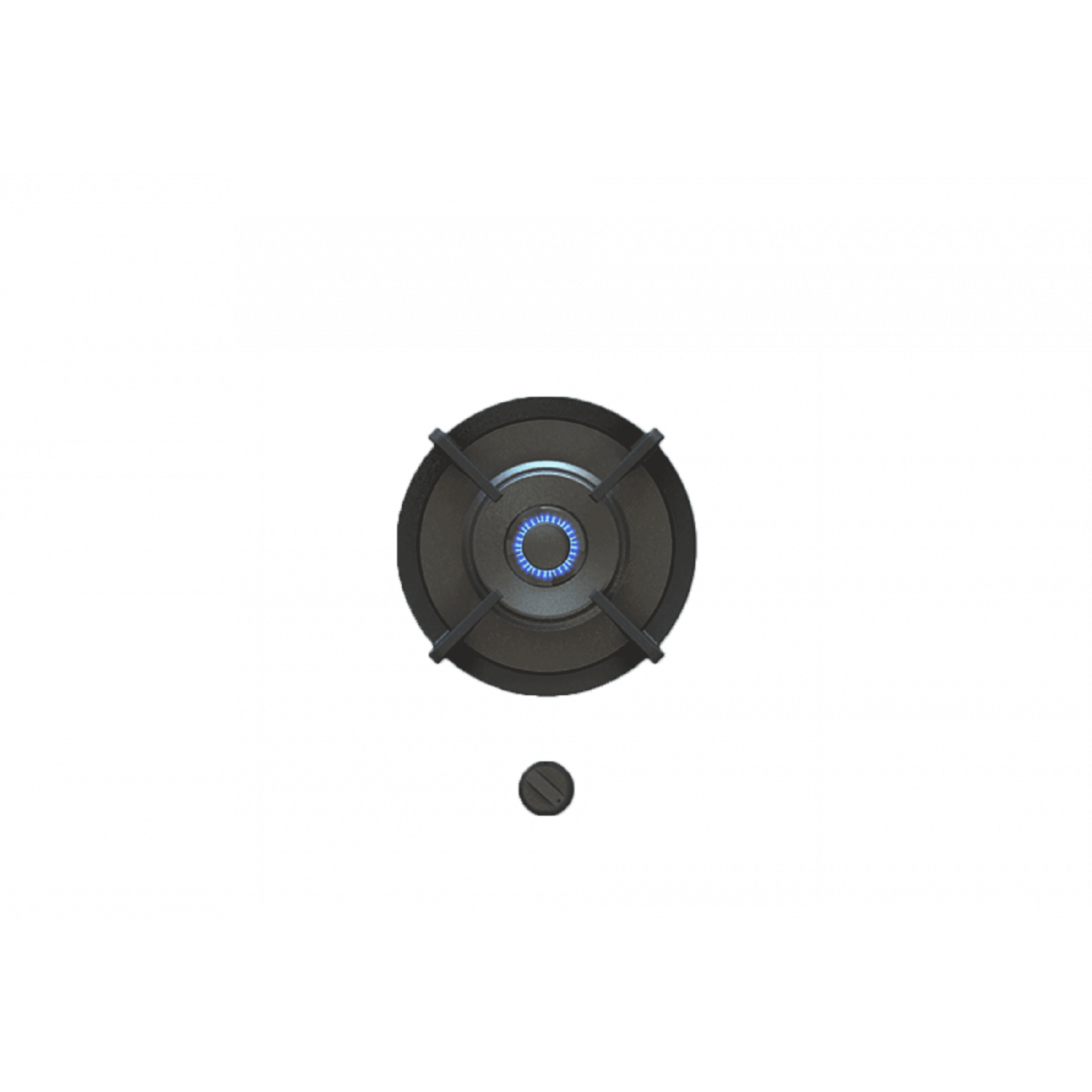 PITT - Módulo de cocción Azuma Professional image 0