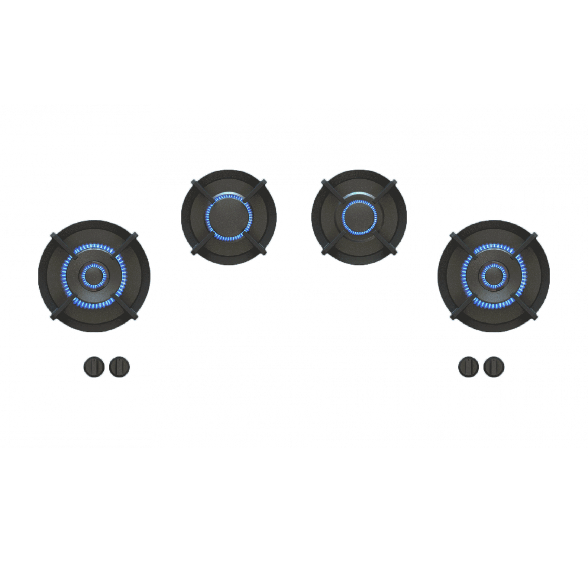 PITT - Módulo de Cocción PITT Capital Professional image 0